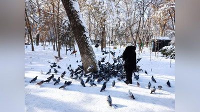 Изрображение 'Потепления пока не предвидится: прогноз Узгидромета на рабочую неделю'