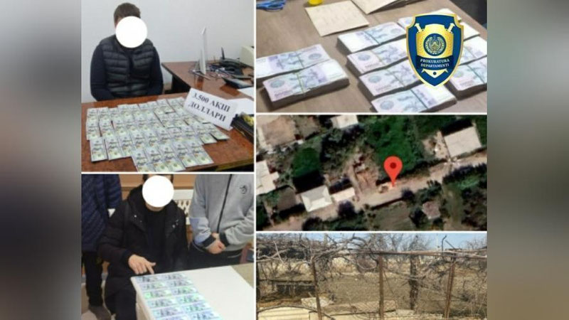 'Olmaliqda 6 sotix, Navoiyda 12 sotix, Buxoroda 5 sotix...'ning rasmi