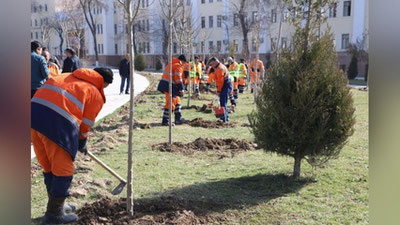 Изрображение 'В Ташкенте приступили к высаживанию деревьев в рамках проекта "Яшил макон" (фото)'