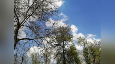 Изрображение 'Синоптики рассказали о температурных рекордах марта в Узбекистане'