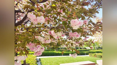 Изрображение 'В Ташкенте +26: погода на 28 марта'