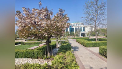 Изрображение 'В Ташкенте сегодня потеплеет до +32: погода на 13 апреля'