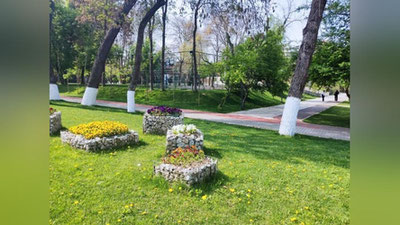 Изрображение 'В Ташкенте воздух прогреется до +34: погода на 14 апреля'