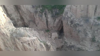 Изрображение 'В сети появилось видео отстрела краснокнижного бурого медведя в Чиракчи'