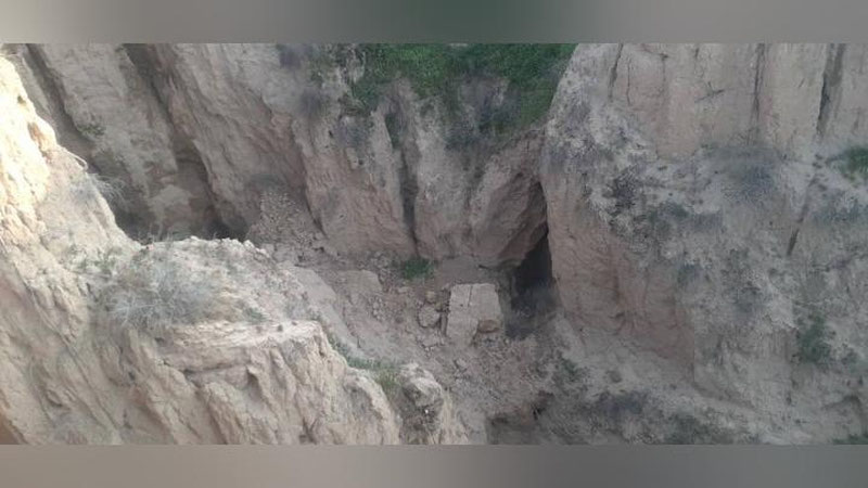 Изрображение 'В Минприроды рассказали о местонахождении медведя, наделавшего шуму в кишлаке в Чиракчи'