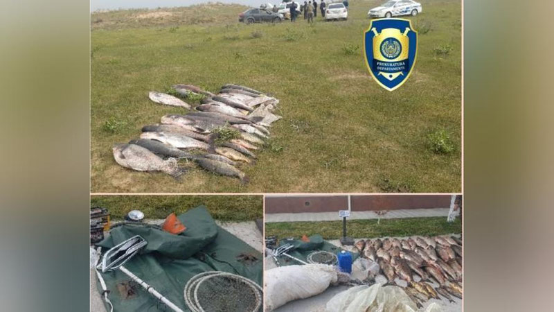 'Jizzaxda brakoner departament bo`lim boshlig`ining ustiga mashina haydab, unga jarohat etkazdi'ning rasmi