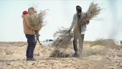 'Inkuzart Orol dengizining bir paytlari tubi bo`lgan qismida tinchlik ramzini chizdi (video)'ning rasmi