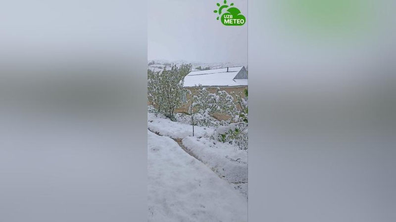 Изрображение 'В горных кишлаках Узбекистана выпал снег (видео)'
