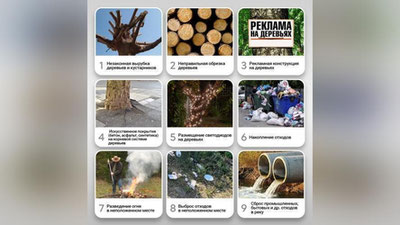 Изрображение 'Минэкологии запустило бот для приема жалоб от населения в сфере экологии'