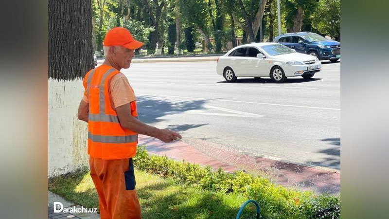'O`zbekistonda harorat yana 32 darajagacha ko`tariladi'ning rasmi