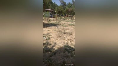 Изрображение 'На территории детской больницы в Кашкадарье вырубили 16 деревьев'