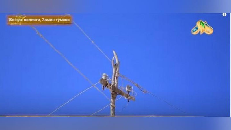 'Jizzaxda 7 yoshli qiz elektr simiga osilib halok bo`ldi (video)'ning rasmi
