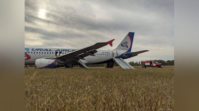 Изрображение 'Пассажирский самолет экстренно сел в поле в Новосибирской области (видео)'