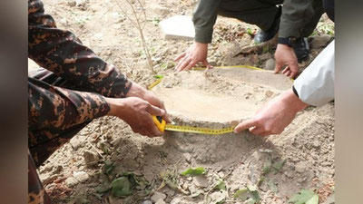 Изрображение 'В Андижане двух граждан приговорили к 2 годам ограничения свободы за вырубку деревьев'