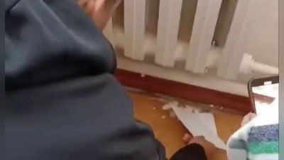 'Тошкентдаги мактаблардан бирида чаён чиққани ҳақидаги хабарга изоҳ берилди'ning rasmi