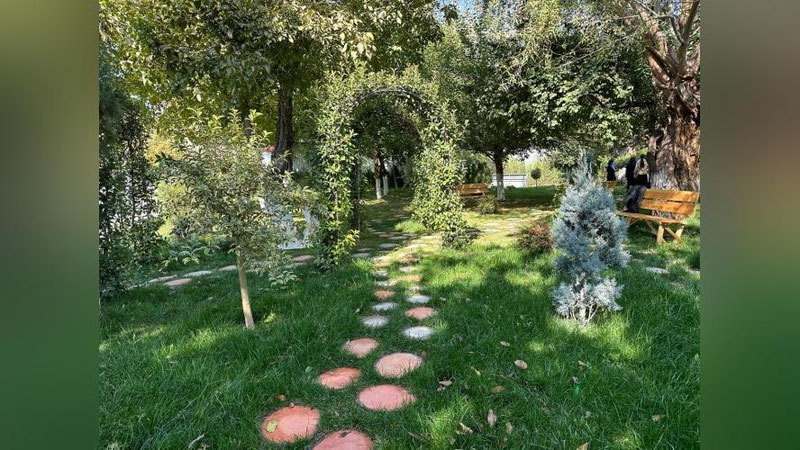 'Тошкентдаги мактаб яшил маконга айлантирилди'ning rasmi