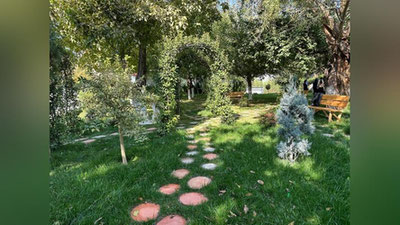 'Тошкентдаги мактаб яшил маконга айлантирилди'ning rasmi