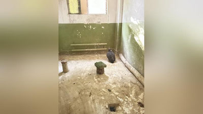 'Тошкентда чўл бургути тутқунликда сақланган'ning rasmi