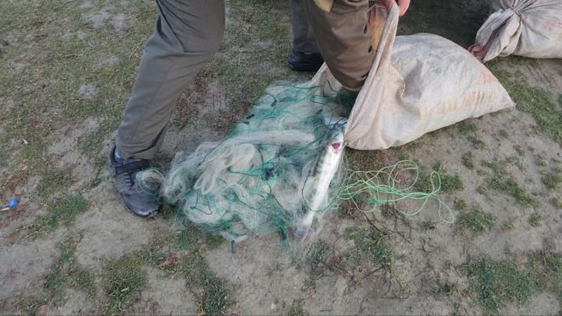 Изрображение 'На Ташморе браконьера оштрафовали на 3,3 млн сумов'