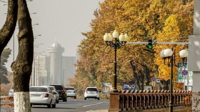 Изрображение 'В Ташкенте +19: погода на первый ноябрьский день'