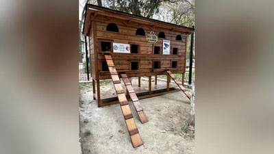 Изрображение 'Кошачий "отель" появился в Учтепинском районе Ташкента'