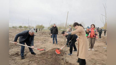 'Maktabgacha va maktab ta`limi vazirligi bog`i tashkil etilmoqda'ning rasmi