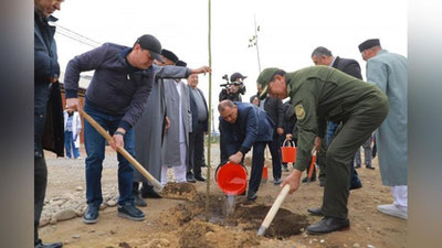 'Toshkentda yangi “Konstitusiya bog`i” yaratilmoqda'ning rasmi