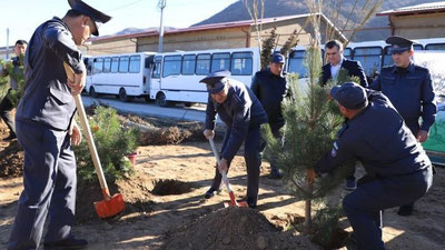 Изрображение '"Символический сад МВД" заложен в Бостанлыкском районе'