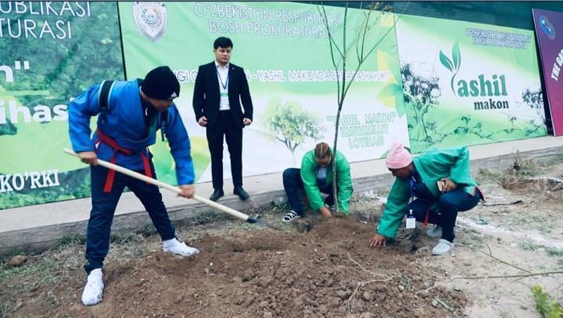 Изрображение 'Курашисты мира высадили "Сад борцов" в Мирабадском районе Ташкента (видео)'
