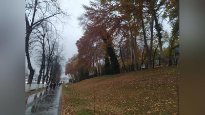 Изрображение 'Синоптики поделились предварительным прогнозом на предстоящий декабрь'