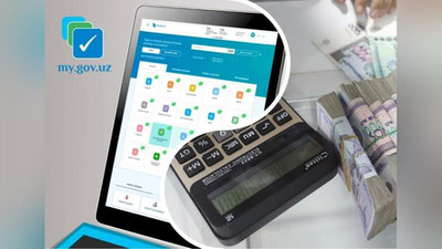 Изрображение 'Запущена новая онлайн-услуга для назначения пенсии'