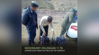 Изрображение 'В Ташкентской области выпустили 11 перелетных птиц, пойманных незаконно'