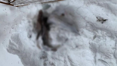 Изрображение 'Подозреваемым в убийстве женщины на востоке Москвы оказался узбекистанец'