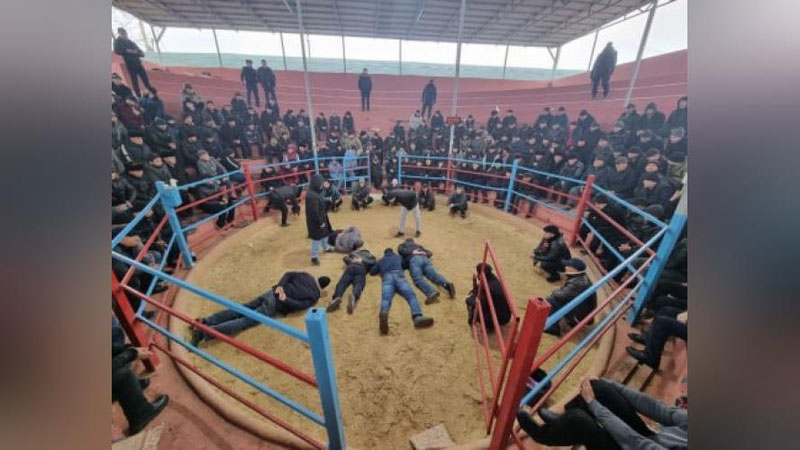 'Фарғонада катта миқдорда пул тикиб, қимор ўйини ташкил этган жиноий гуруҳ қўлга олинди'ning rasmi