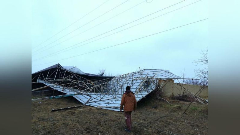 'Самарқанд ва Жиззахда кучли шамол сабаб аҳоли "свет"сиз қолди'ning rasmi