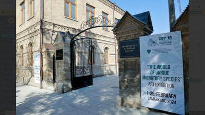 Изрображение 'В Самарканде открылась выставка «Редкая мигрирующая фауна»'