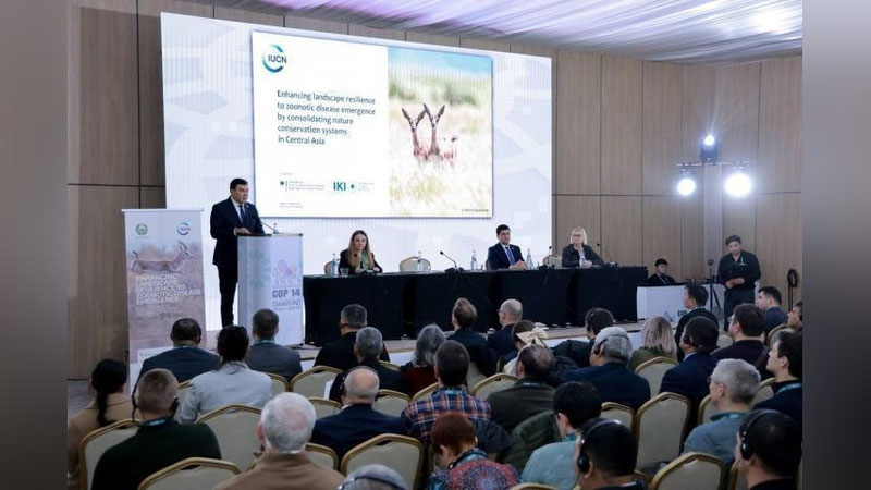 '"Markaziy Osiyoda yagona salomatlik" loyihasi ishga tushirildi'ning rasmi