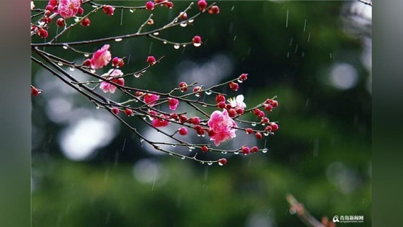 'O`zgidromet yangi haftada kuzatiladigan ob-havo haqida ma`lumot berdi'ning rasmi