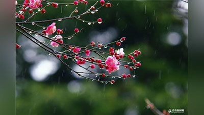 'O`zgidromet yangi haftada kuzatiladigan ob-havo haqida ma`lumot berdi'ning rasmi