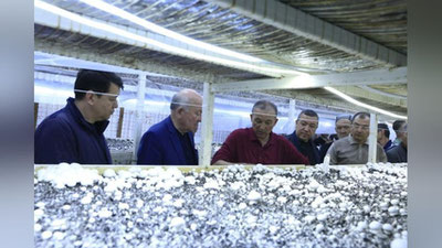 'Jizzaxda Ulug`bek Muhammadiev boshchiligida mahalla faollari, yoshlar bilan ochiq muloqot hamda xonadonbay o`rganishlar olib borilmoqda'ning rasmi