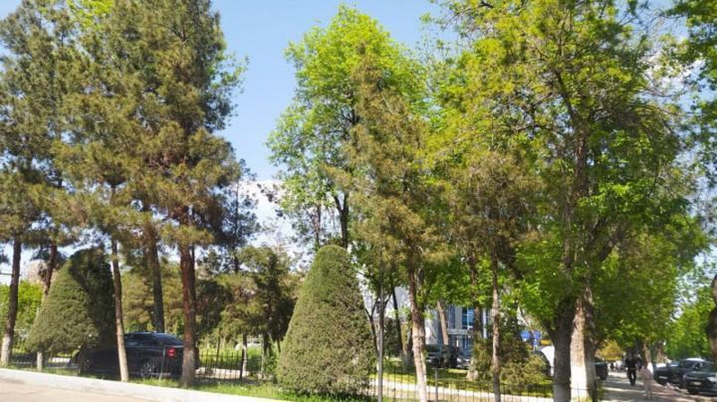 Изрображение 'Синоптики рассказали, ожидаются ли дожди на выходных'
