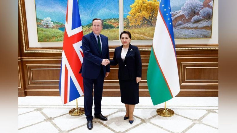 Изрображение 'Председатель Сената Олий Мажлиса Танзила Нарбаева приняла главу МИД Великобритании'