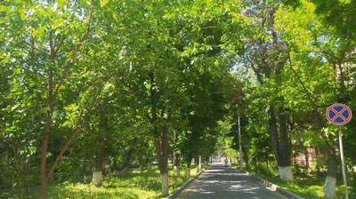 Изрображение 'В Узбекистане потеплеет до +30: погода на новую рабочую неделю'