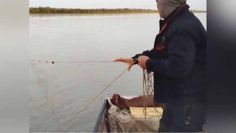 'Inspektorlarga hujum qilgan brakonerlarga jinoyat ishi qo`zg`atildi'ning rasmi