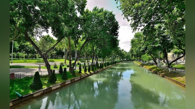 'O`zbekistonda 12 may kuni havo harorati 32 darajagacha ko`tariladi'ning rasmi