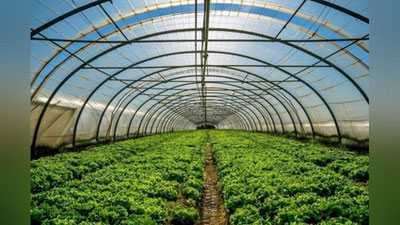 'O`zbekistonda ayrim issiqxona va sanoat korxonalariga gaz etkazib berish to`xtatiladi'ning rasmi