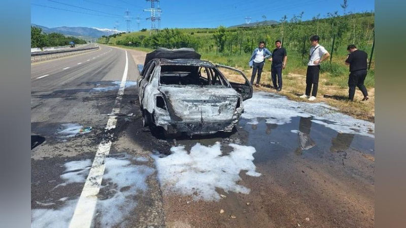 'Bo`stonliqda Gentra yonib ketdi'ning rasmi