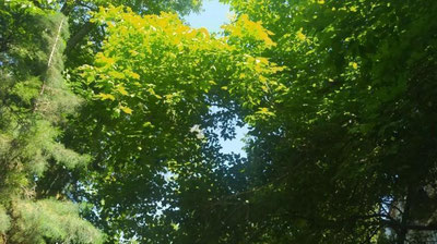 Изрображение 'Ожидается ли сильная жара на этой неделе в Узбекистане?'