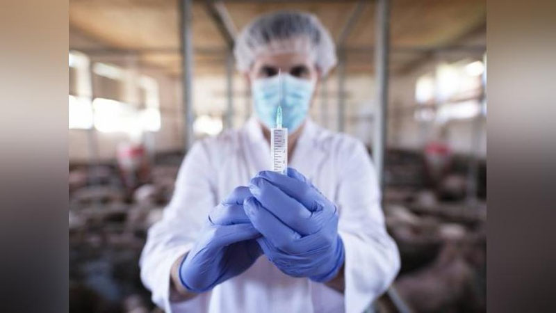 'Meksikalik erkakda parranda grippi aniqlandi'ning rasmi