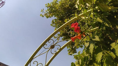 Изрображение 'Синоптики рассказали, ожидается ли на неделе понижение температуры'